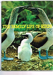Family Life of Birds