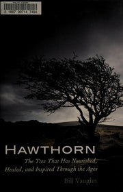 Hawthorn: The Tree That Has Nourished, Healed, and Inspired Through the Ages