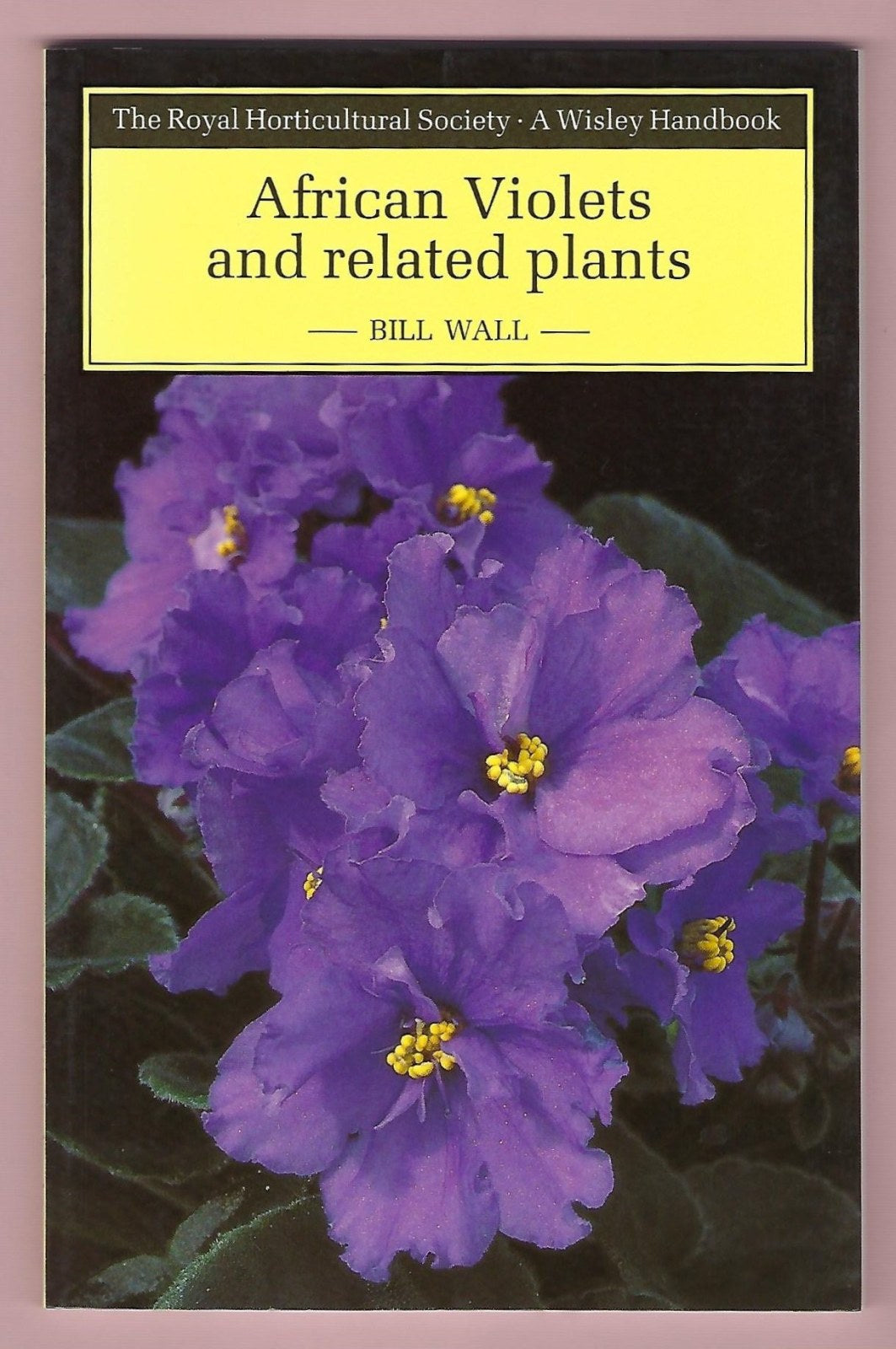 African Violets and Related Plants (Wisley)