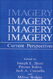 Imagery: Current Perspectives