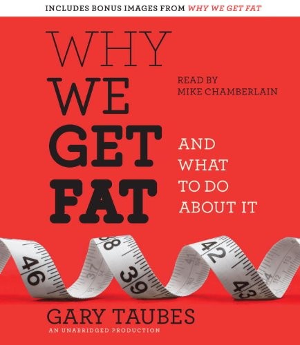 Why We Get Fat: And What to Do about It