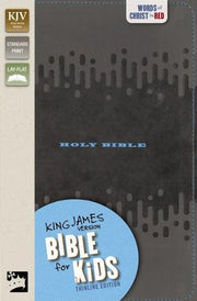KJV, Bible for Kids, Leathersoft, Charcoal: Thinline Edition