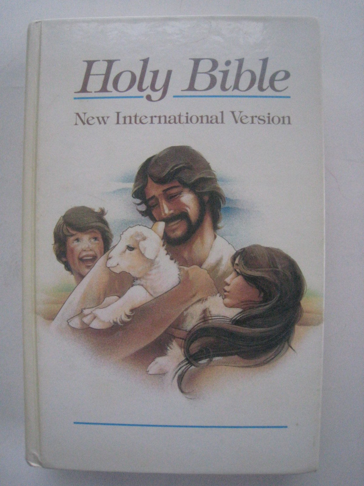 Holy Bible New International Version (Niv Childrens Edition)