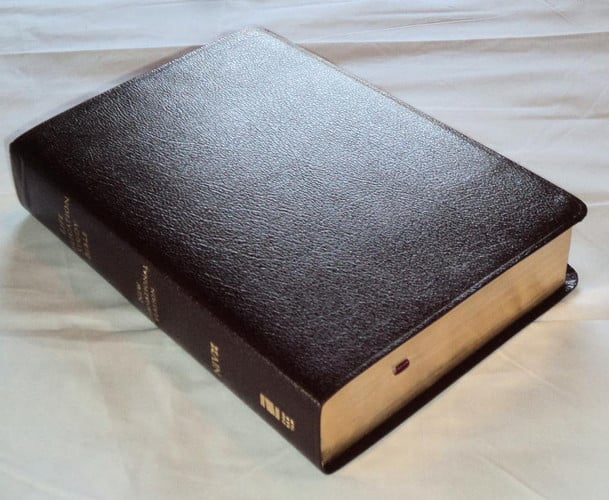 Life Application Study Bible: New International Verison, Burgundy, Bonded Leather