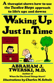 Waking up Just in Time: A Therapist Shows How to Use the Twelve Steps Approach to Life's Ups and Downs