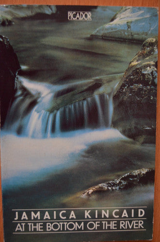 At the Bottom of the River (Picador Books)