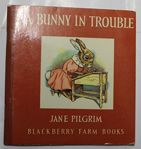 A Bunny in Trouble: No 14 (Little Books)