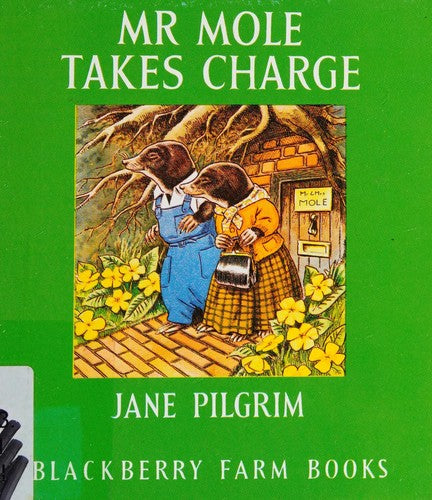 Mister Mole Takes Charge: No 21 (Little Books)