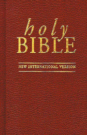 New International Version (Bible)