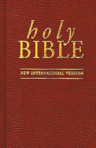 New International Version (Bible)