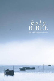 NIV Popular Economy Bible, New Design, Hardback - NOT FOR INDIVIDUAL RESALE