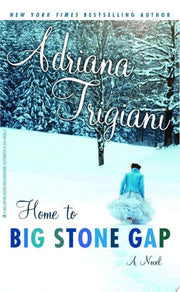 Home to Big Stone Gap: A Novel