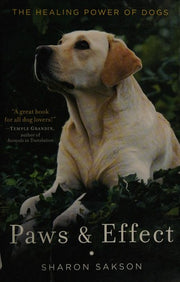 Paws & Effect: The Healing Power of Dogs