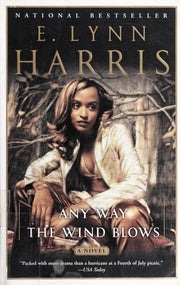 Any Way The Wind Blows: A Novel: 2 (Basil and Yancy Series)