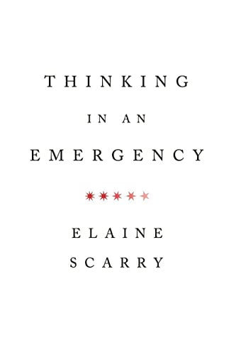 Thinking in an Emergency (Amnesty International Global Ethics Series) (Norton Global Ethics Series): 0