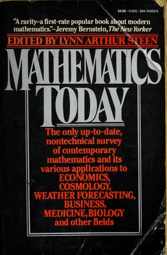 Mathematics Today: Twelve Informal Essays