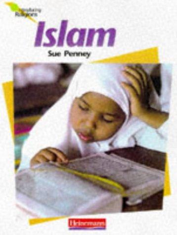 Introducing Religions: Islam Paperback