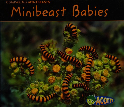 Minibeast Babies (Comparing Minibeasts)