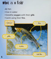Fish (Animal Young)