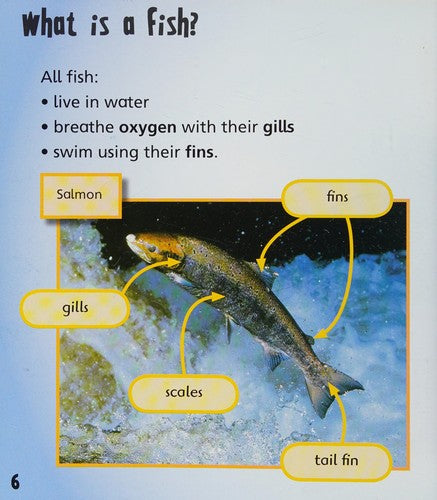Fish (Animal Young)