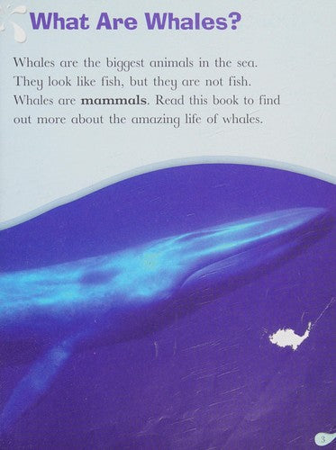 Rigby Star Independent Year 2 Purple Non Fiction: Amazing Whales Single