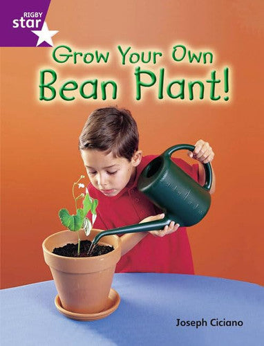 Rigby Star Guided Quest Purple: Grow Your Own Bean Plant! (STARQUEST)