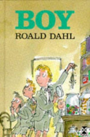 Boy (New Windmills KS3)