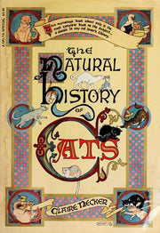 The natural history of cats