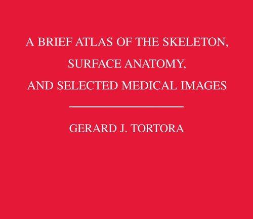 A Brief Atlas of the Skeleton Surface Anatomy, and Selected Medical Images