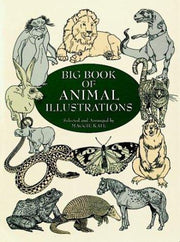Big Book Animal Illustrations (Dover Pictorial Archive)