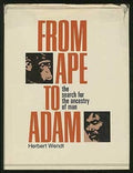 From Ape to Adam: Search for the Evolution of Man