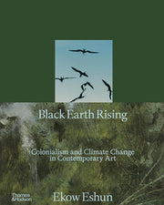 Black Earth Rising: Colonialism and Climate Change in Contemporary Art