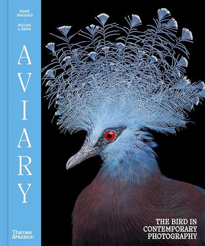 Aviary: The Bird in Contemporary Photography