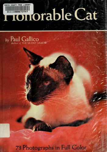 Honorable Cat