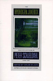 The Hydrogen Jukebox: Selected Writings of Peter Schjeldahl, 1978-1990: 2 (Lannan Series)