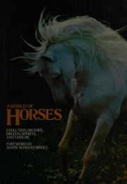 A World of Horses