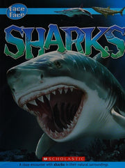 Sharks: A close encounter with sharks in their natural surroundings (Face to Face)