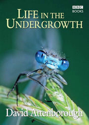 Life in the Undergrowth: (E)