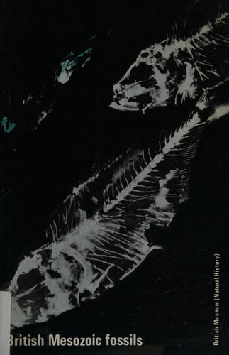 British Mesozoic Fossils