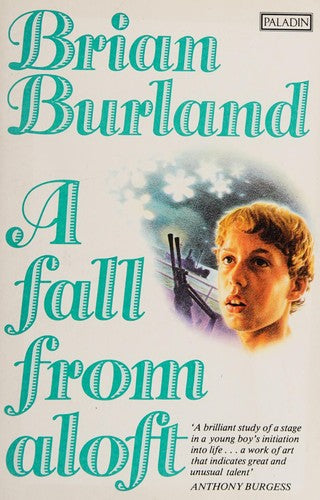 Fall from Aloft (Paladin Books)