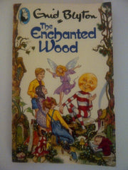 The Enchanted Wood