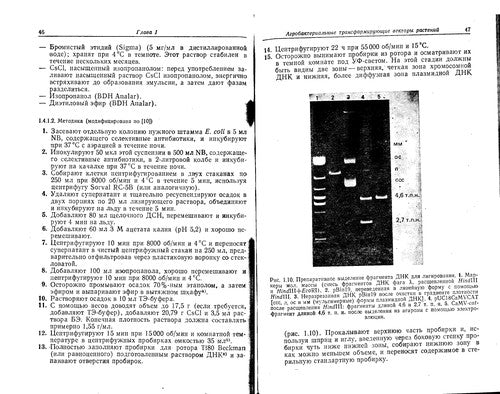 Plant Genetic Transformation: A Laboratory Manual