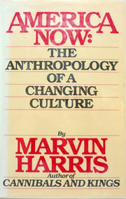 America Now: The Anthropology of a Changing Culture