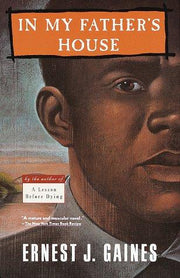 In My Father's House: 0000 (Vintage Contemporaries)
