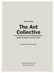 The Ant Collective: Inside the World of an Ant Colony
