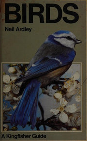 Birds (Kingfisher Guides)