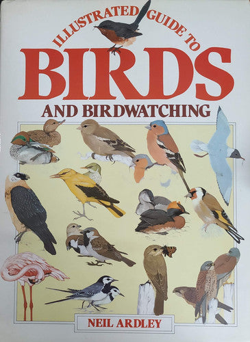 Illustrated Guide to Birds and Bird Watching (Kingfisher S.)