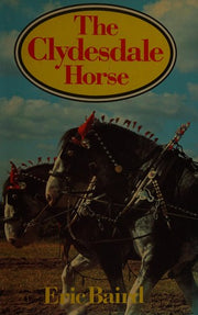 Clydesdale Horse