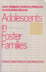 Adolescents in Foster Family Care (Child Care Policy & Practice)