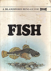 Fish (A Blandford mini-guide)